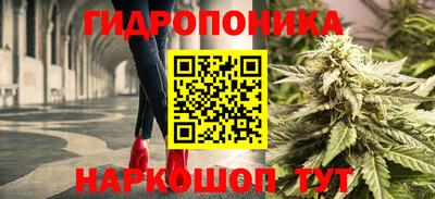 шишки Бузулук