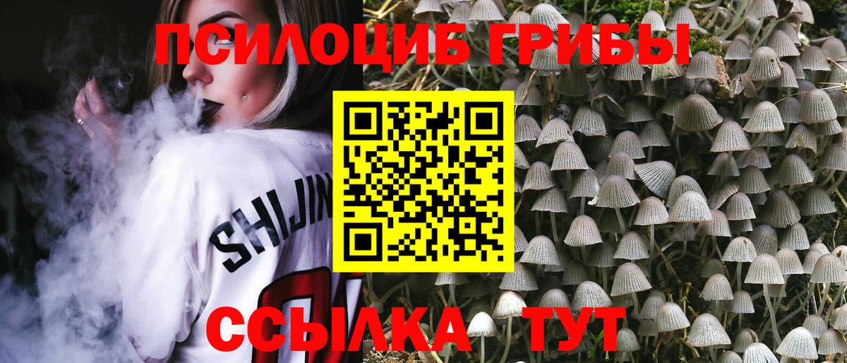 Сафоново  Галлюциногенные грибы мухоморы  Вход с VPN  Галлюциногенные грибы GOLDEN TEACHER 